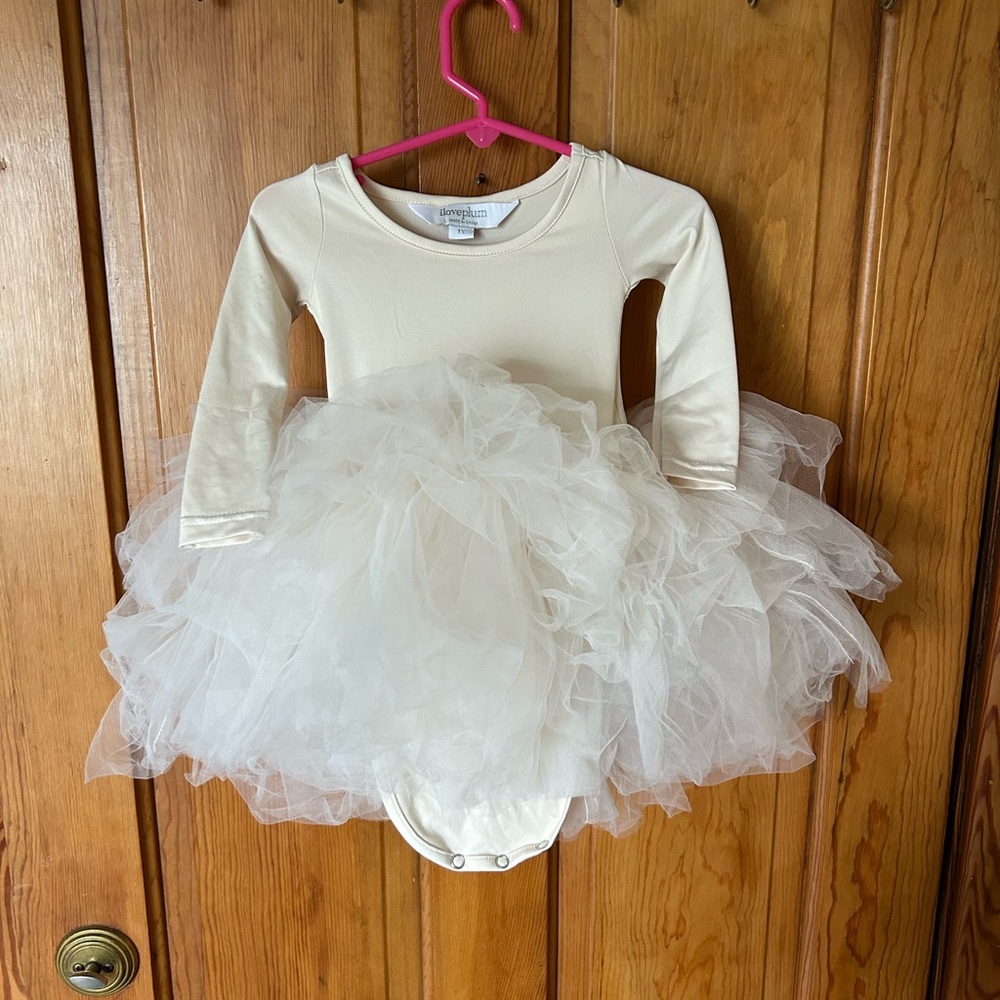 Cream Long Sleeve Tulle Dress